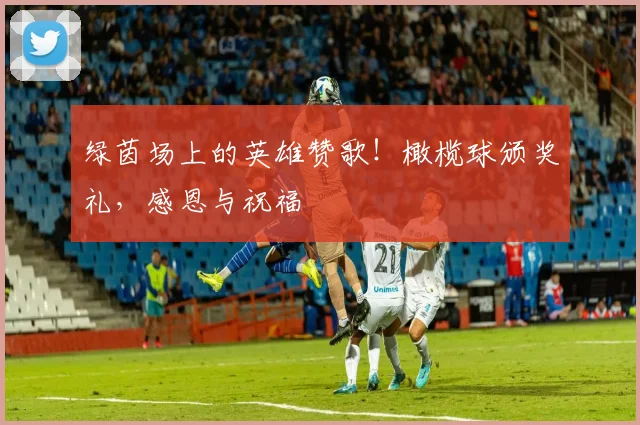 绿茵场上的英雄赞歌!橄榄球颁奖礼,感恩与祝福
