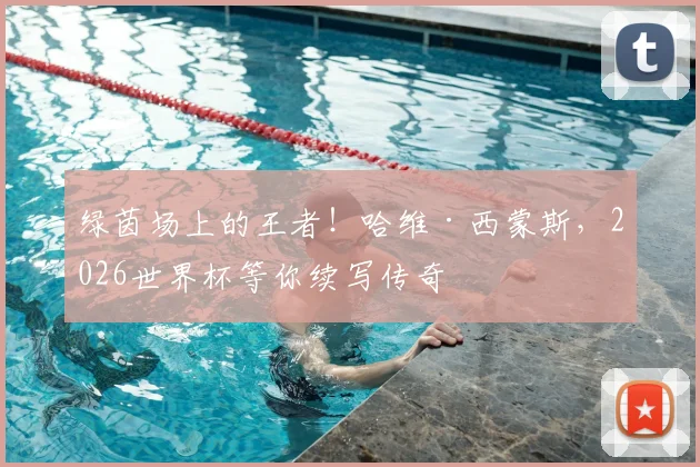 绿茵场上的王者!哈维·西蒙斯,2026世界杯等你续写传奇